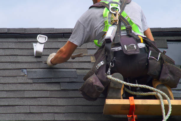 Best Roof Gutter Cleaning  in Leakesville, MS