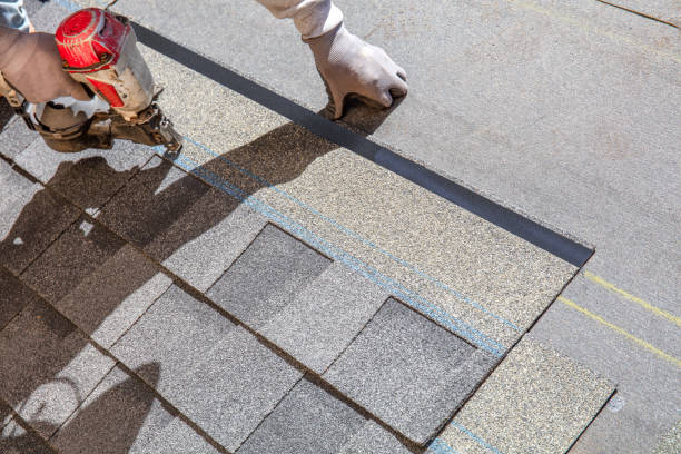 Best Roof Repair Services  in Leakesville, MS